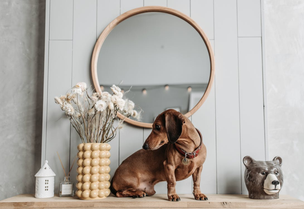 How to Choose the Right Mirrors for Your Walls