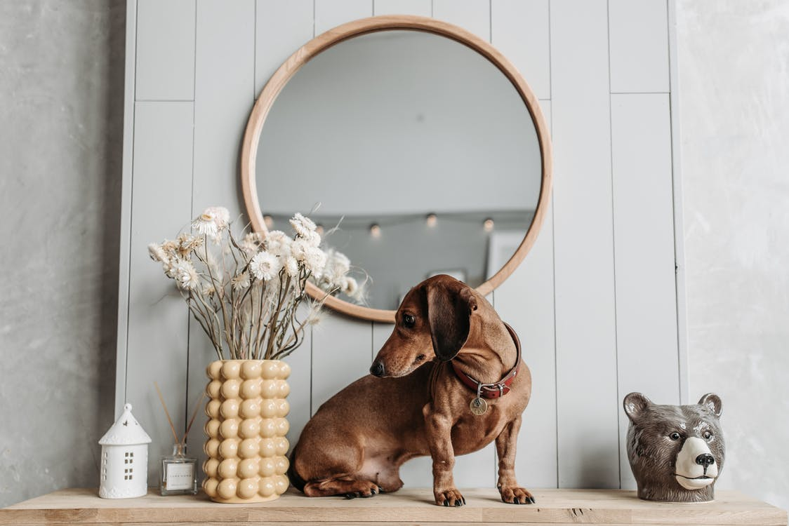 How to Choose the Right Mirrors for Your Walls apexglassproducts